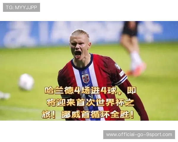 哈兰德谈世界杯,哈兰德转会新闻 哈兰德谈世界杯,哈兰德转会新闻