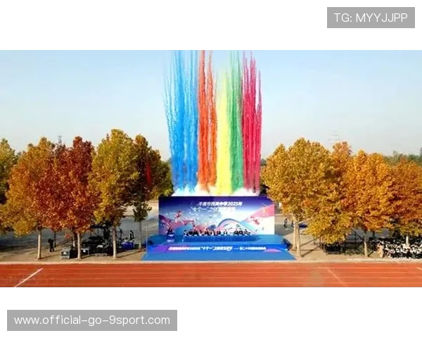 体育赛事与本地文化节融合，提升活动吸引力，体育文化节活动项目